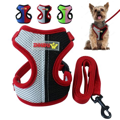 stylish dog harness and leash.